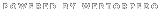 WEBTORPEDO_DESIGN_SQUAD